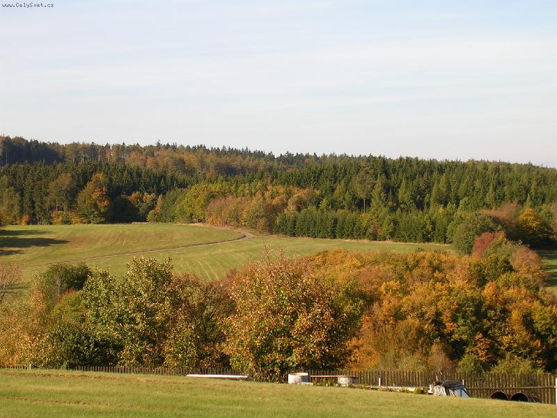 Foto: V barv�ch podzimu-Tato fotka byla po��zena 8.10.2006 v Mal�m Hradisku.
