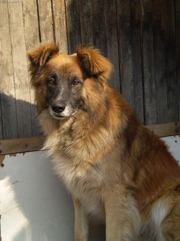 Foto: Po��d jen �ek�m, a� mi n�kdo p�ijde otev��t...