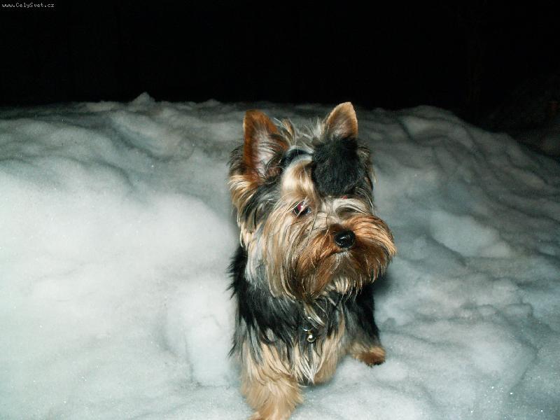 Foto: Sendy-Zima....