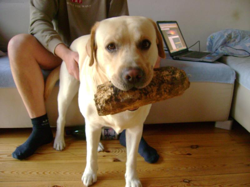 Foto: Muzu s klackem domu,kdyz jsem uz v obyvaku?