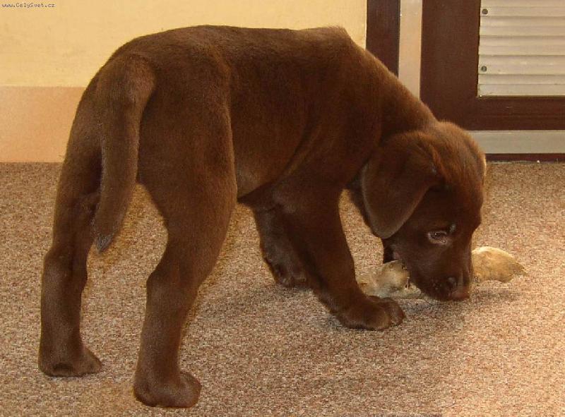 Foto: Tak, a m�m t� ;-)