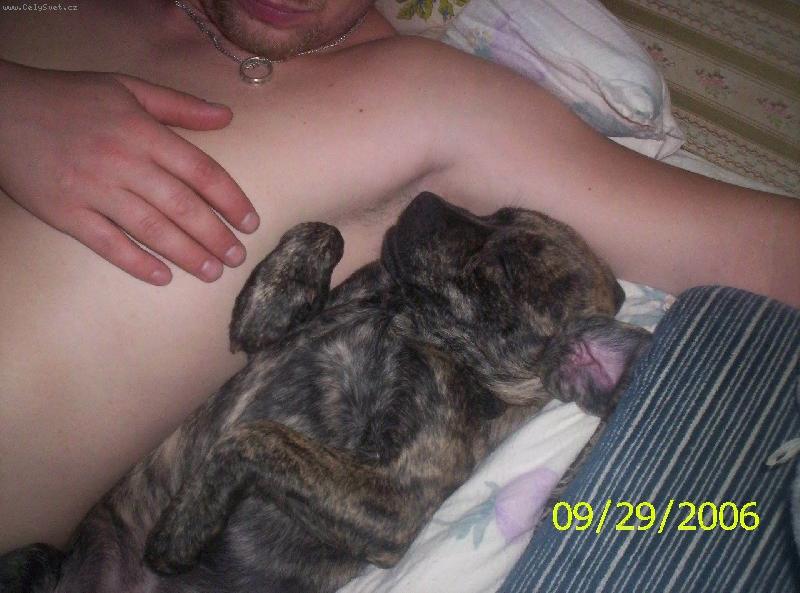 Foto: ڞasn� odpo�inek:-)-takhle spink� Osk�rek s p�n��kem:-)