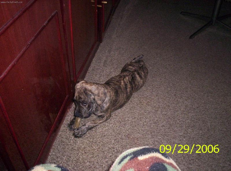 Foto: m�amka-kou�u v�echno a r�d:-)