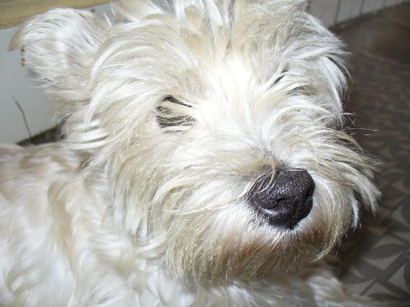 Foto: Bettynka-Na�e mil� Bettynka