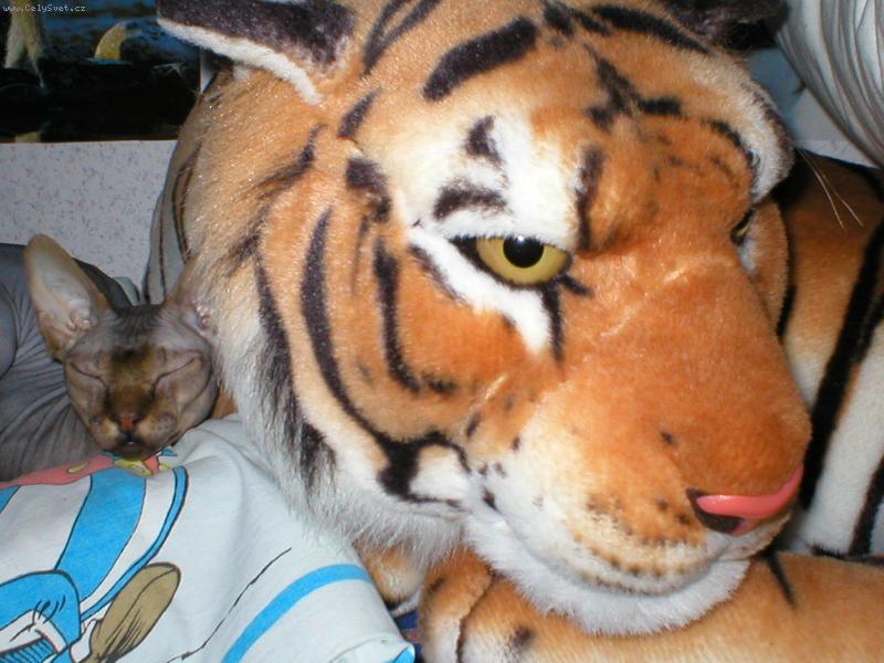 Foto: M�j kamar�d-Kter� z n�s je �iv�??