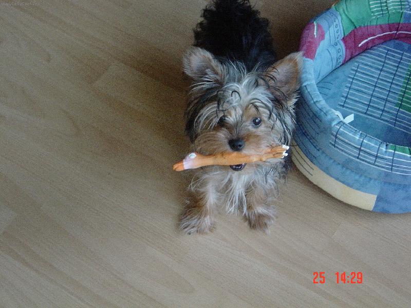 Foto: N� mazl��ek Terinka-M�j prvn� �lovek