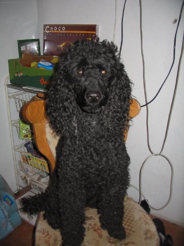 Foto: Ad�lka se fot�-ad�lka, jak jsem j� fotil dnes do ps�ho o�kovac�ho pr�kazu