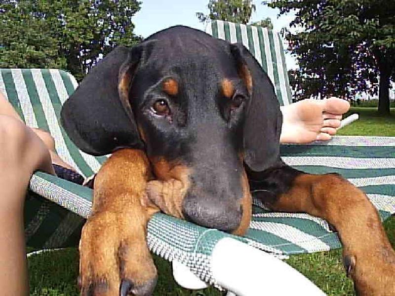 Foto: N� mil��ek Corinka-Te� se chv�li slun�m