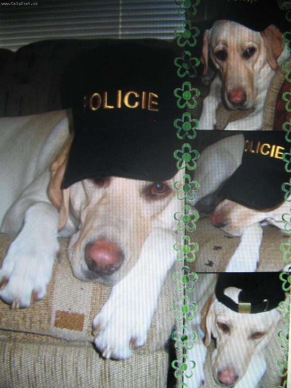 Foto: Megie al� policajt..-no jo no p�ne�ek je policajt tak mu vzala potaj� k�iltovku a fotili jsme...:)