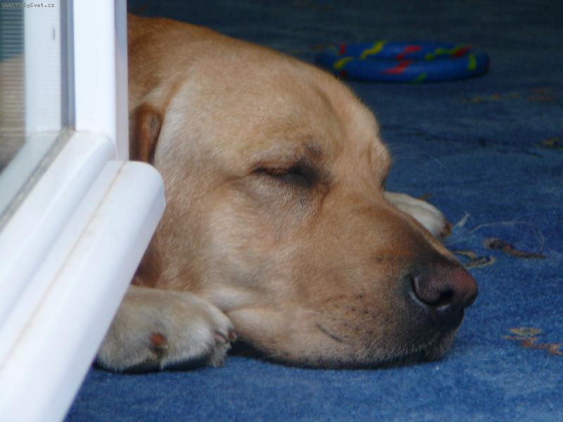 Foto: Bady m� r�d chladno-u balkonu je p�����jemn�