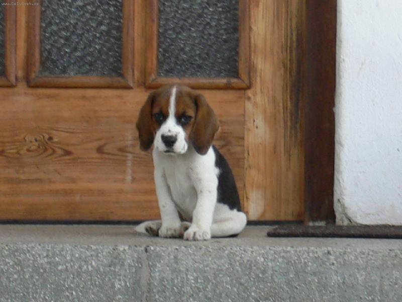 Foto: Tedou�ek-Tak co vyhrabu nejd��ve???