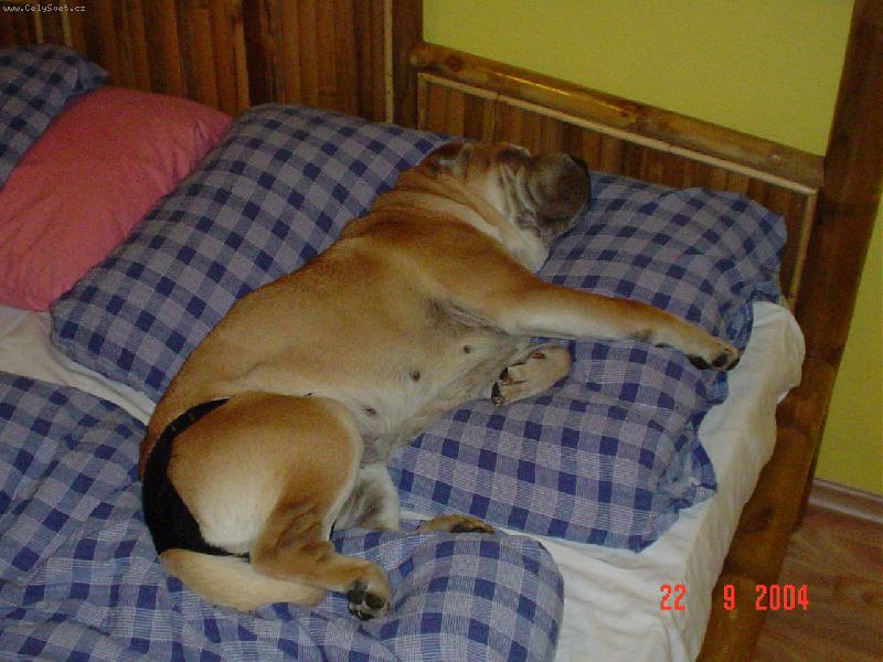 Foto: Gina-Takhle jsme ji na�li po p��chodu z pr�ce