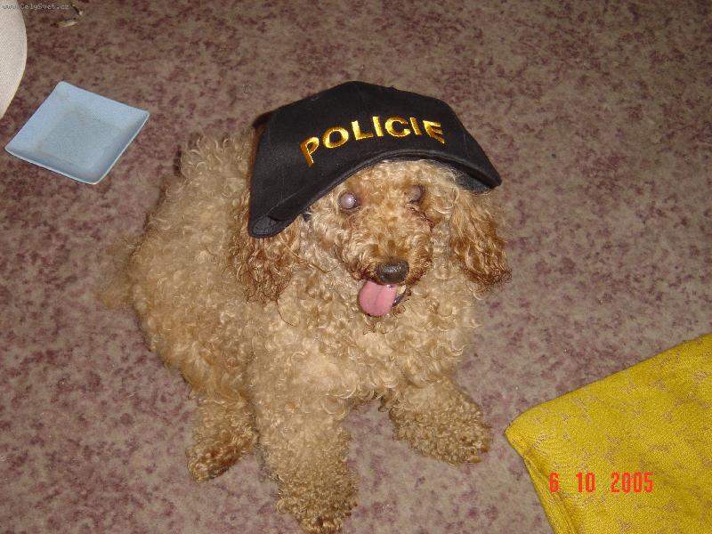 Foto: Ben�k ve slu�b�-"Zlod�ji,t�este se!"