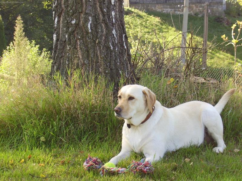 Foto: D�le�it� hra�ky