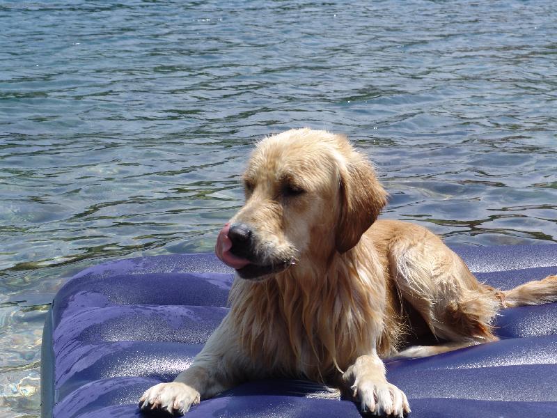 Foto: To je moje leh�tko.-U mo�e.