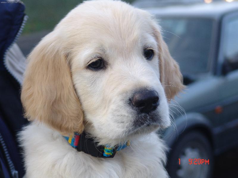 Foto: Pvn� den u nov�ch p�n��k�.-Buddynek