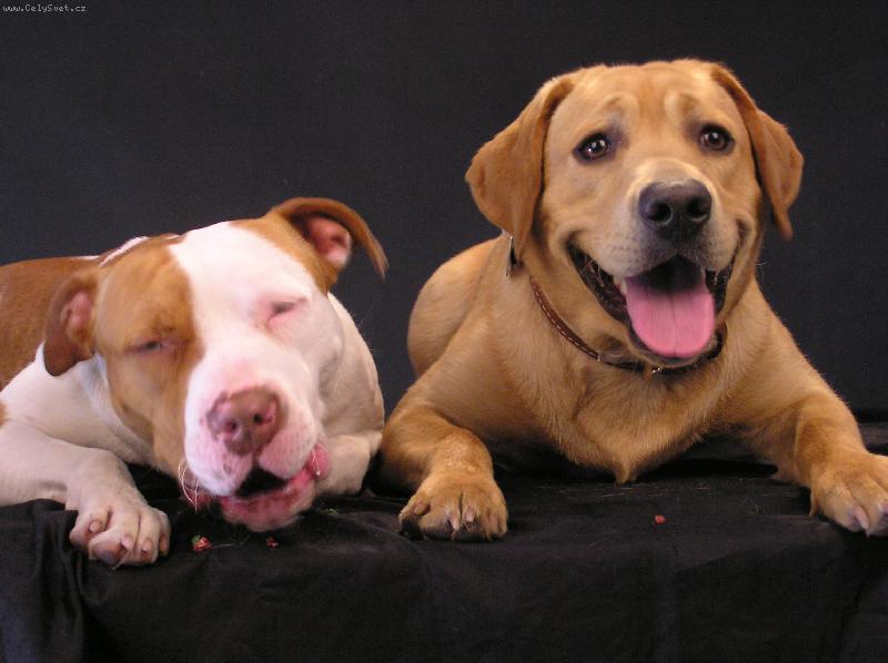 Foto: Nenech�m ti ani kousek-v ateli�ru