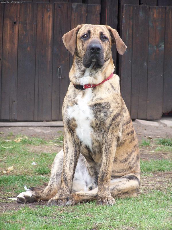 Foto: FIDEL-U� jsem velkej chlap