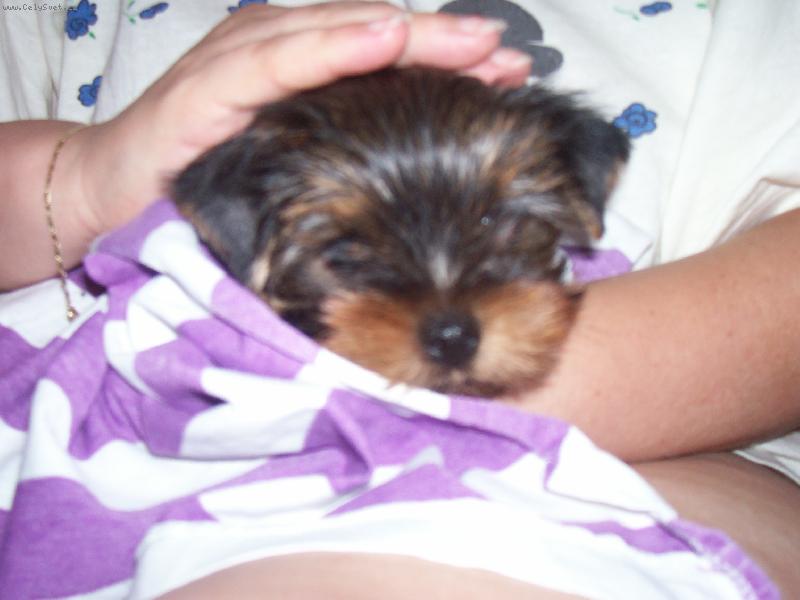 Foto: Tom�ek-to mi byly dva m�s�ce