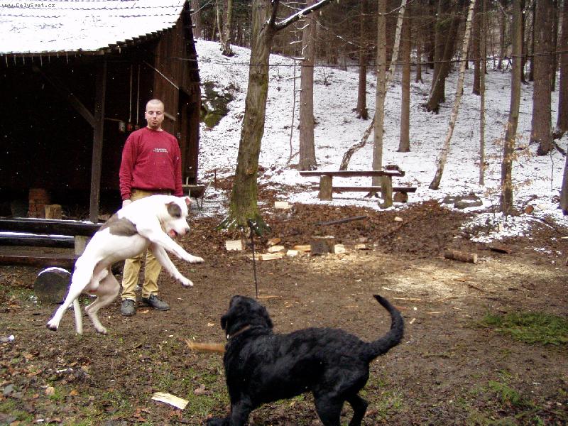 Foto: Fanou�ek-D�vejte jak um�m l�tat!!!