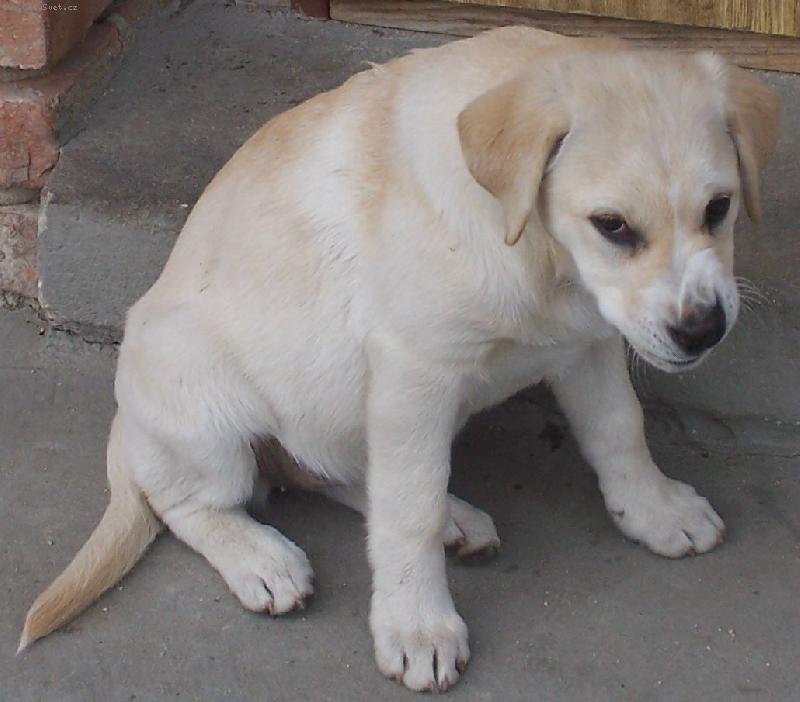 Foto: Vrrr!!!!!-Um�m se po��dn� rozzlobit!