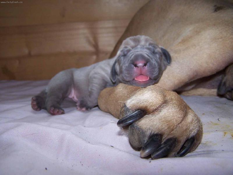 Foto: Mate�sk� tlapa