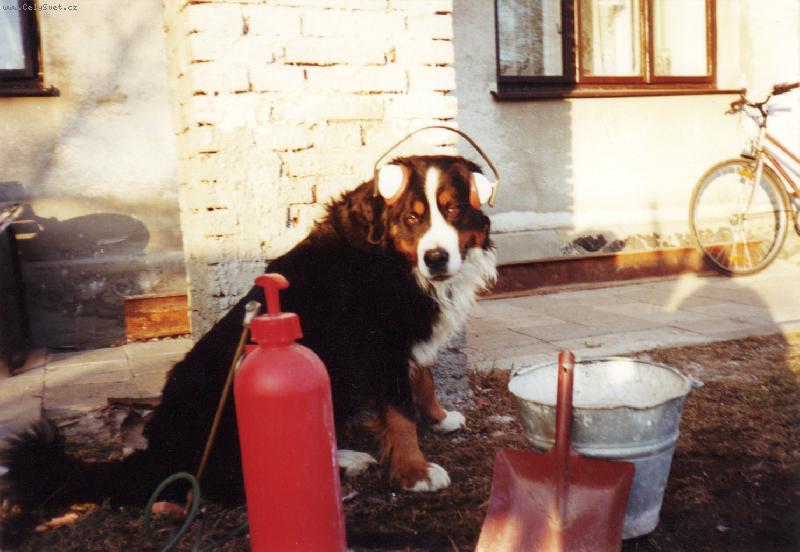 Foto: A jde se makat