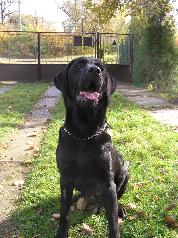 Foto: Tak uz mi hod ten piskotek....