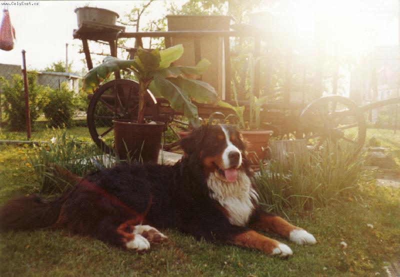 Foto: Z�pad slunce