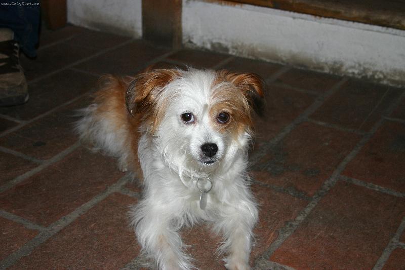 Foto: Ta�a je nalezenec, ale s noblesou-nebylo toho foceni u� dost?