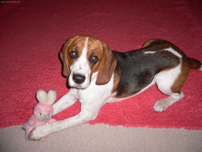 Foto: M�j nejlep�� kamar�d !!