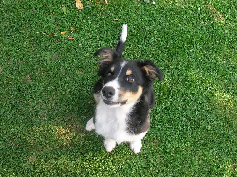 Foto: Audi-Tak tady vid�te na�e nejlep�� Audi, co m� pohon na v�echny �ty�i:-D