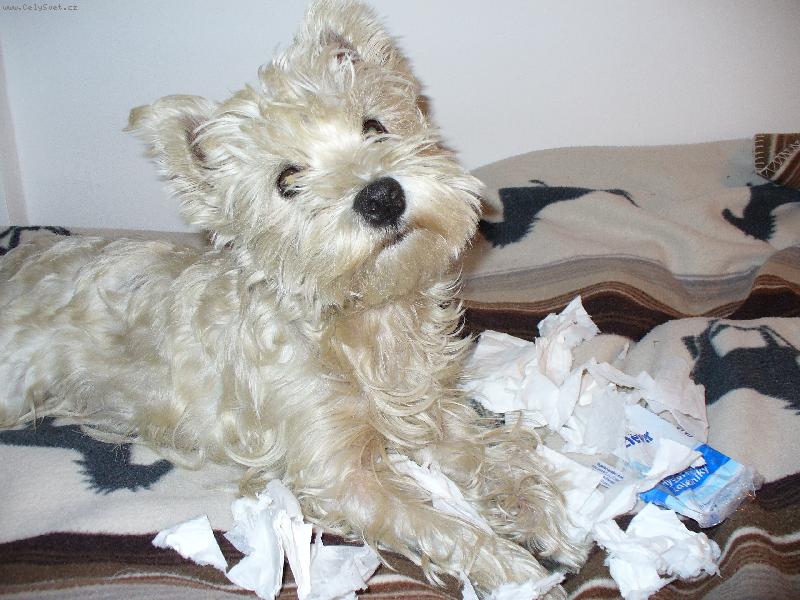 Foto: Bettynka-Mam hroznou r�mu.