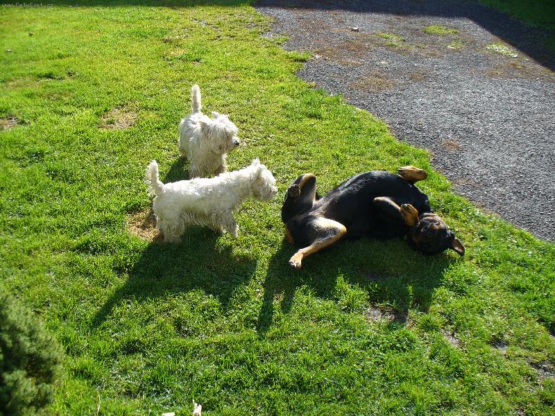 Foto: Nellynka.Benn��ek.Bettynka.-Tak jsme T� p�eprali!!!!!