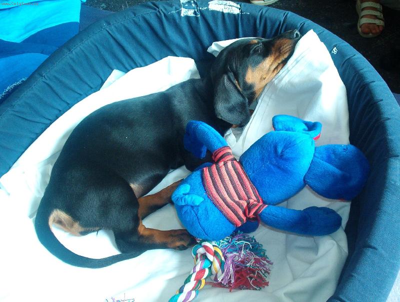 Foto: nov� kamar�d v nov�m domov�