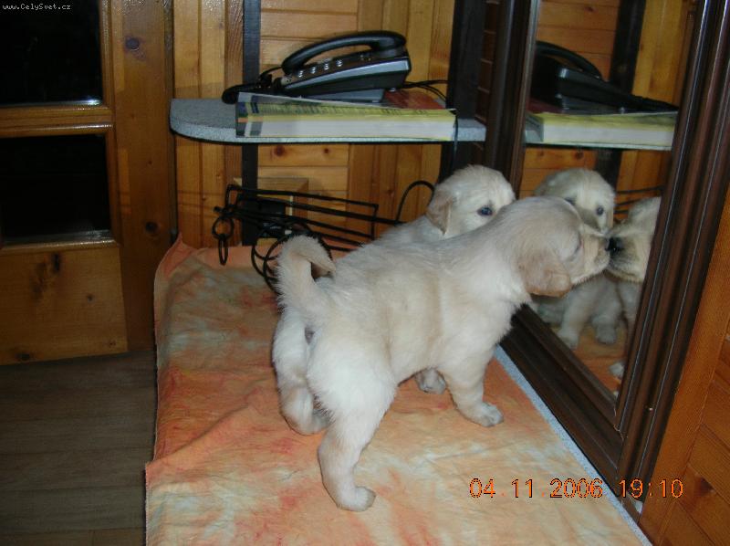 Foto: Co se vy dv� tam na n�s tak kouk�te?