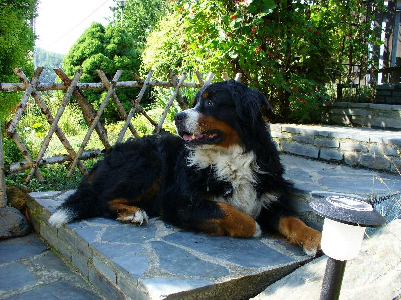 Foto: Bad-hl�d�m, hl�d�m...