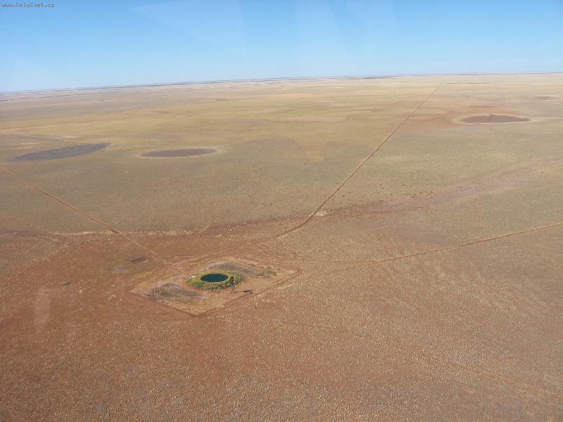 Foto: O�za v pou�ti