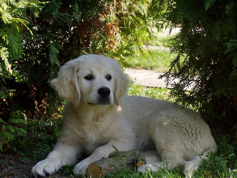 Foto: Lucky-Kam jste mi dali moje d��vko ??? :(