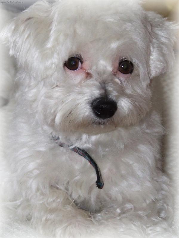 Foto: N� gau��k Mont�k