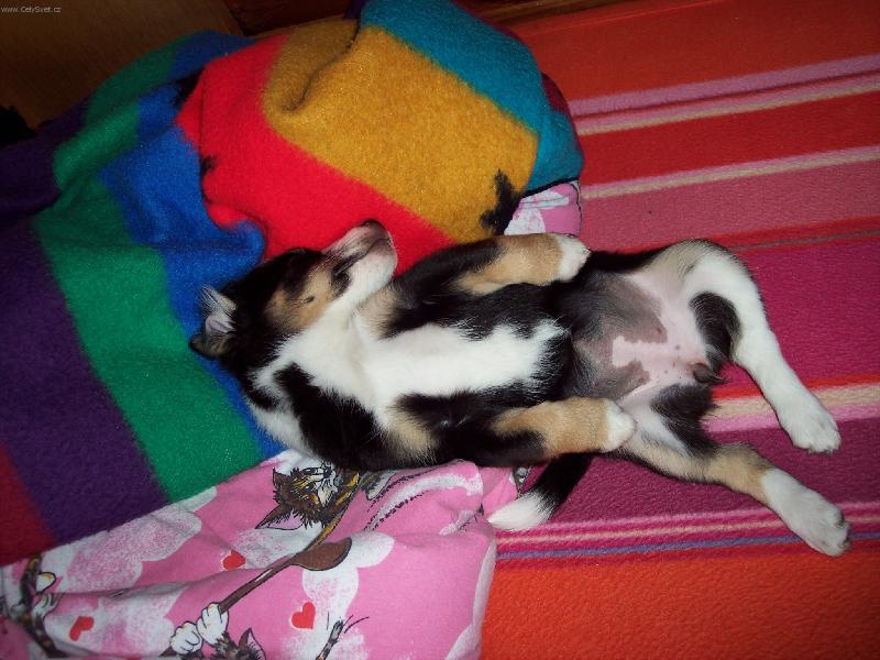 Foto: �da