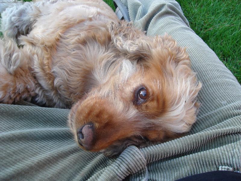 Foto: Lady-Kokr�pan�lka