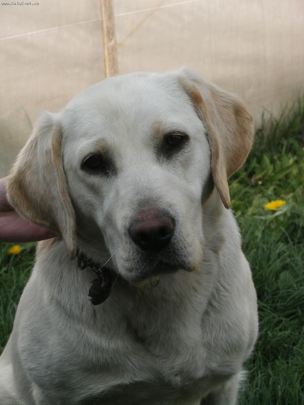 Foto: L�b�m se?-Celkem r�da se fot�m!