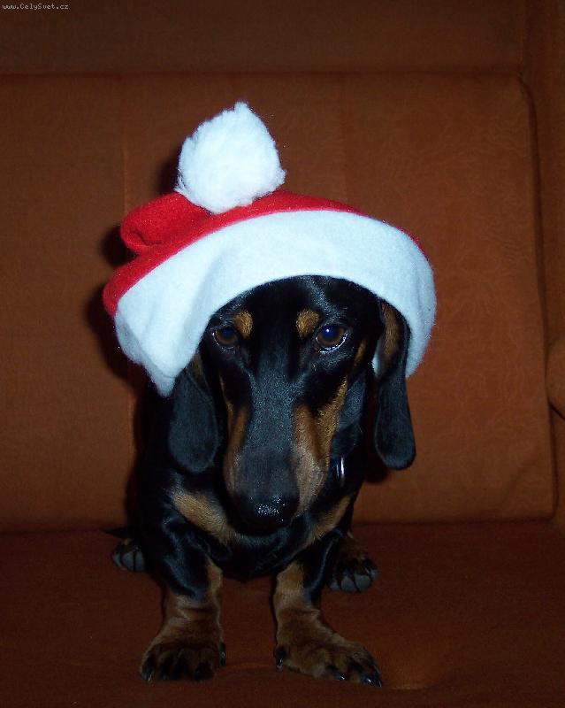 Foto: Teddy Santa-Bl�� se �as v�noc i j� se chyst�m.