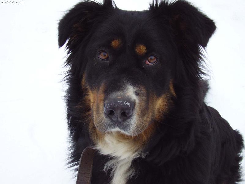 Foto: Barunka ale je to k��enec tak se nedivte-chcete m�??