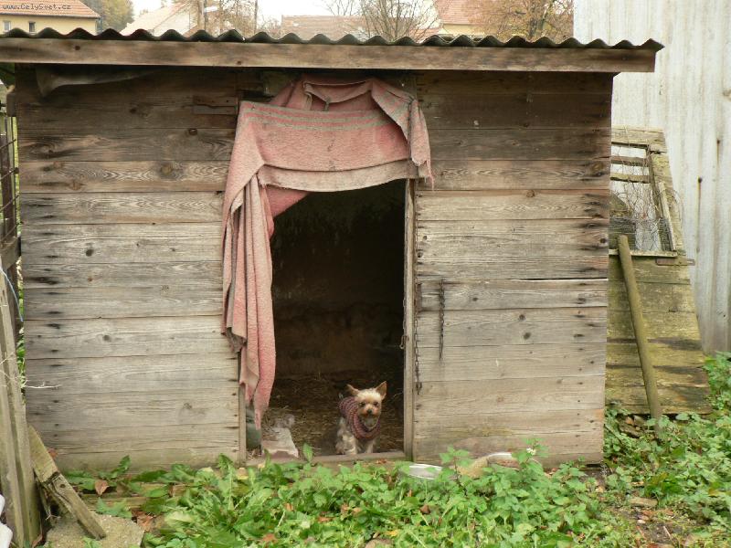 Foto: Akinka v boud�-nen� tro�ku velk�???