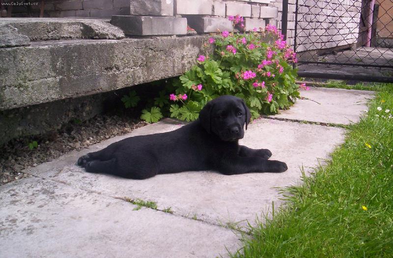 Foto: Annie - jen se tak tro�ku nat�hnu