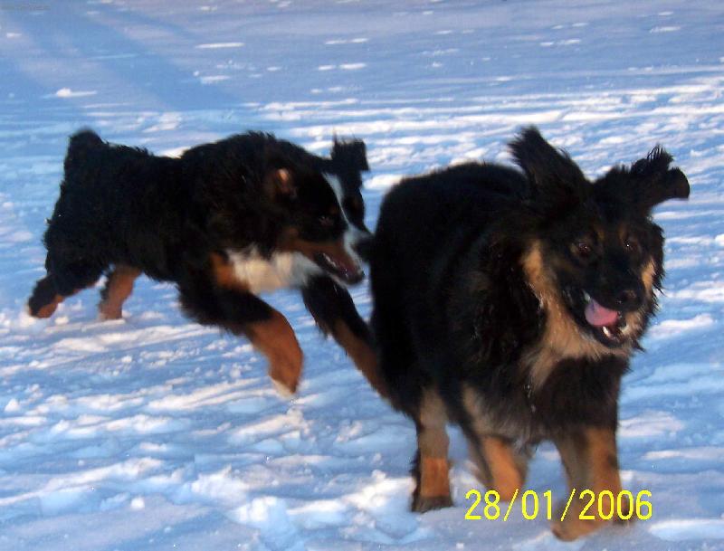 Foto: L�taj�c� Vamp�r