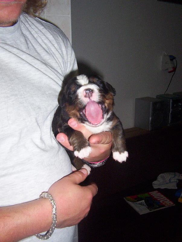 Foto: Chci sp���t...-Arnika z Mal�ovic- 1. t�den �ivota