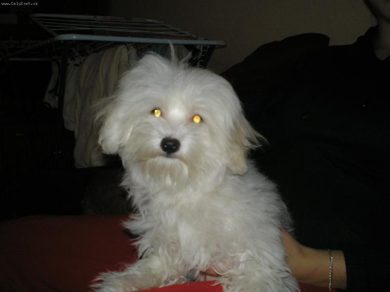 Foto: na�e beru�ka S�rinka